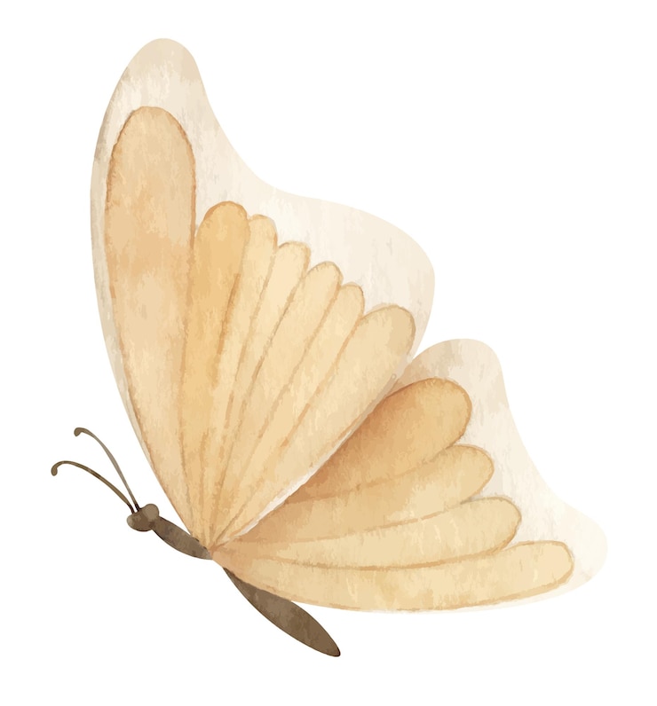 Vektor aquarellbeiger schmetterling auf weißem, isoliertem hintergrund. handgezeichnete illustration eines fliegenden gelben insekts für grußkarten oder hochzeitseinladungen. bunte skizze mit flügeln für symbol oder logo