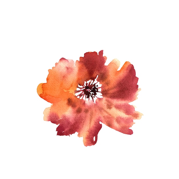 Aquarellblume Bunte orangefarbene schöne handgezeichnete Rose D