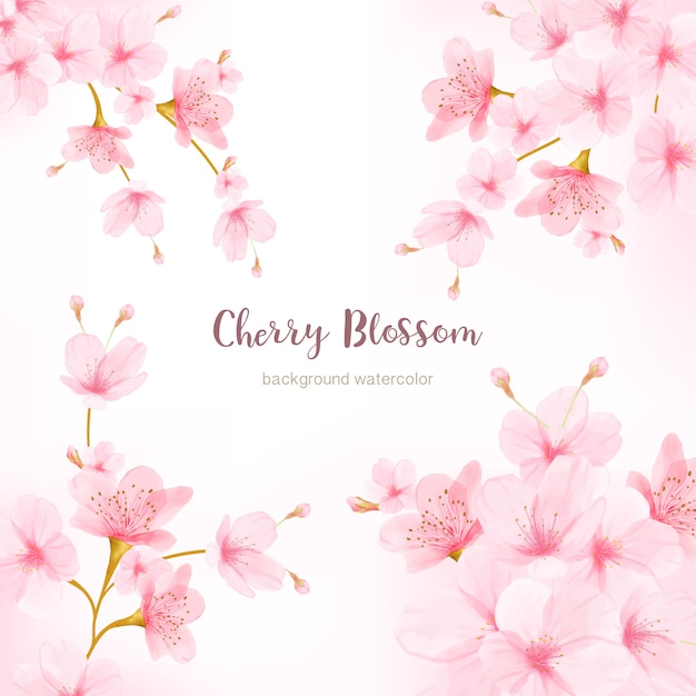 Aquarellblumen cherry blossom frame vector