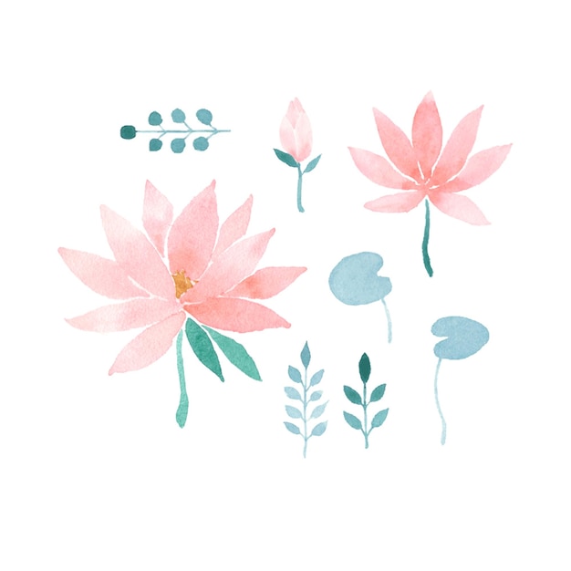 Aquarellblumen mit Lotusblumen
