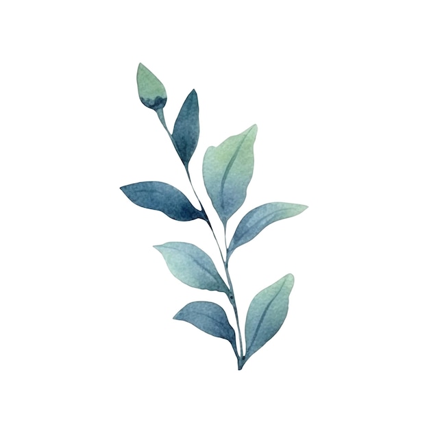 Aquarellblumenillustration Illustration einer blauen und grünen Blume