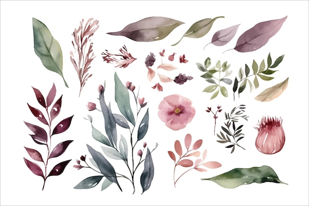 Vektor aquarellblumenillustration stellte weiße blumen grün ein