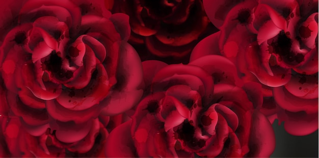 Aquarellhintergrund der roten Rosen