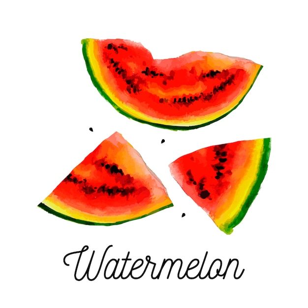 Aquarellillustration der Wassermelone auf Texturpapier. Illustration.