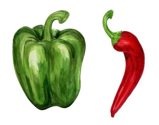 Aquarellillustration einer reihe reifer paprika