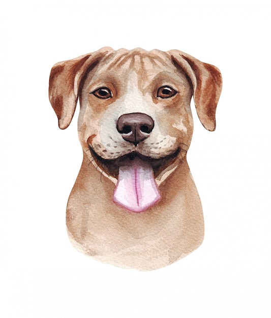 Aquarellillustration eines lustigen hundes. beliebte hunderasse. hund. amerikanischer pitbullterrier. handgemachter charakter lokalisiert auf weiß