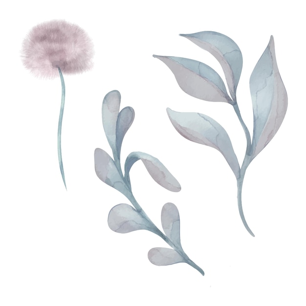 Vektor aquarellillustration mit abstrakten pflanzen für baby isoliert auf weißem hintergrund hand gezeichnet neutrale blätter löwenzahn in pastelltönen blume für geburtstagskarte oder neugeborenen dusche einladung