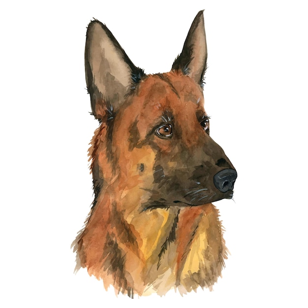 Aquarellillustration mit einem Porträt eines Hundes