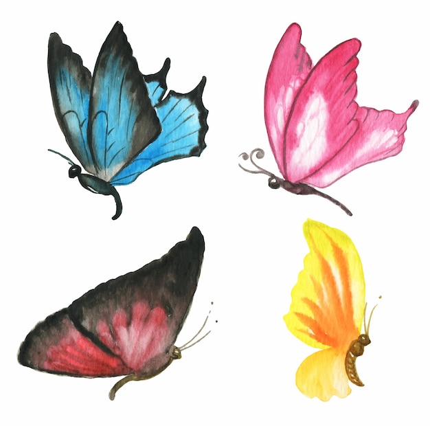 Aquarellillustrationen von Schmetterlingen sind mehrfarbigTropische Insekten