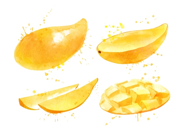 Aquarellillustrationssatz gelbe mangofrucht