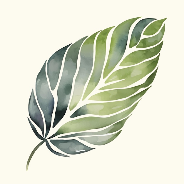 Vektor aquarellmalerei tropisches palmblatt handgemalte illustration tropisches exotisches grünes blatt