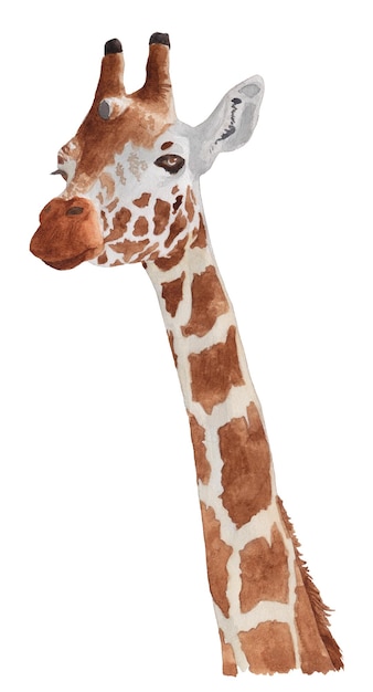 Aquarellporträt einer Giraffe