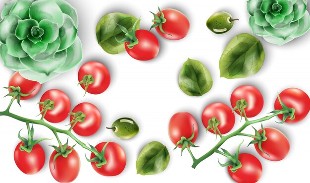 Aquarellsatz rote tomaten, spinatblätter und echeveriaanlage