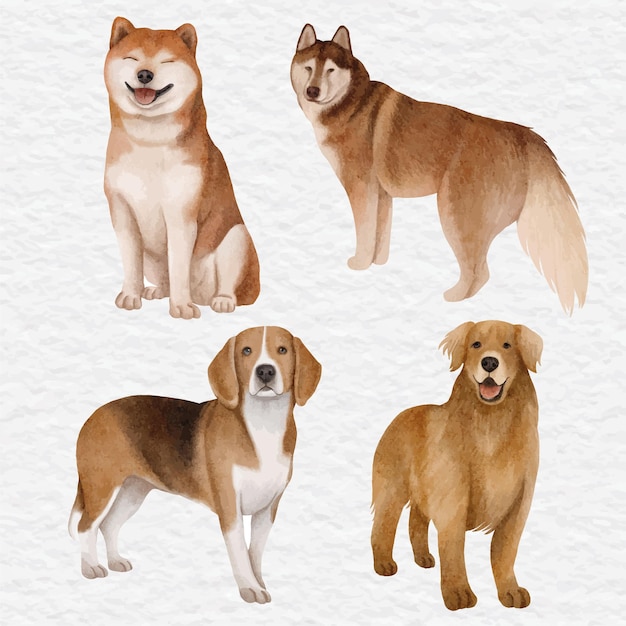 Vektor aquarellset mit clipart für hundeelemente