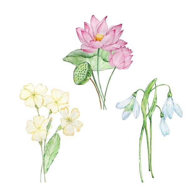 Vektor aquarellsträuße mit blumendesign für den geburtsmonat für drucke und karten