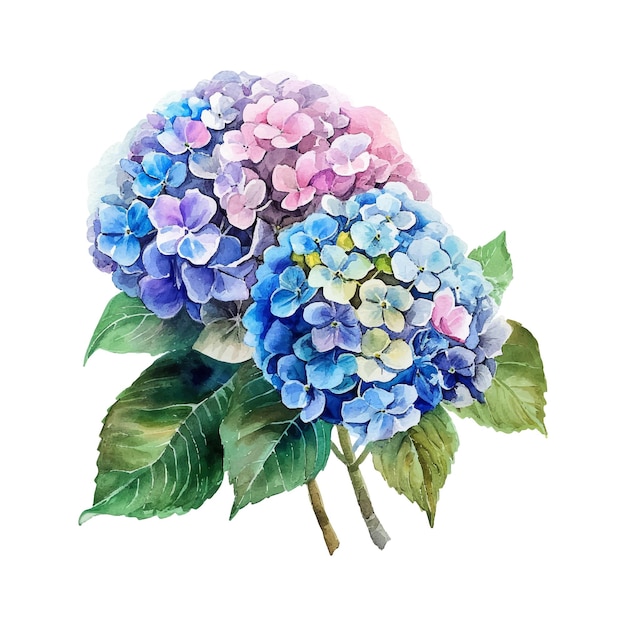 Aquarellstrauß aus blauen und rosa blumen