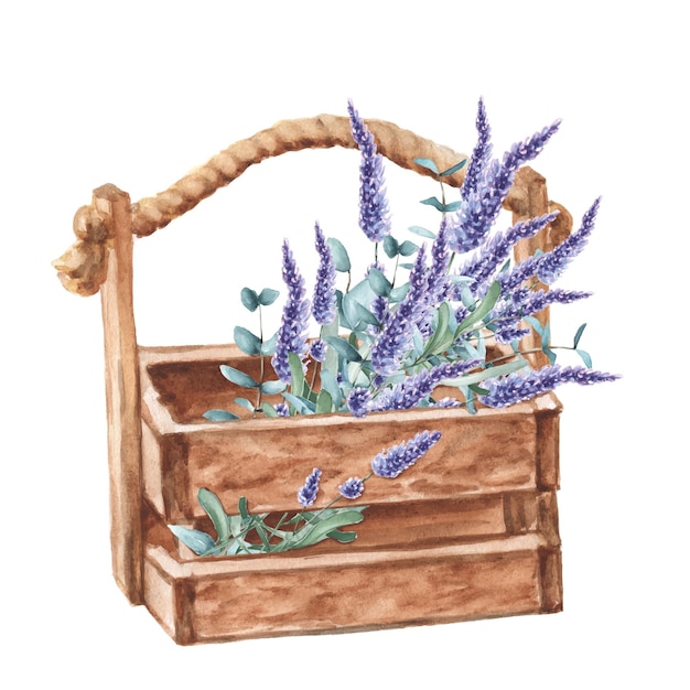 Aquarellstrauß aus lavendel in einer holzkiste