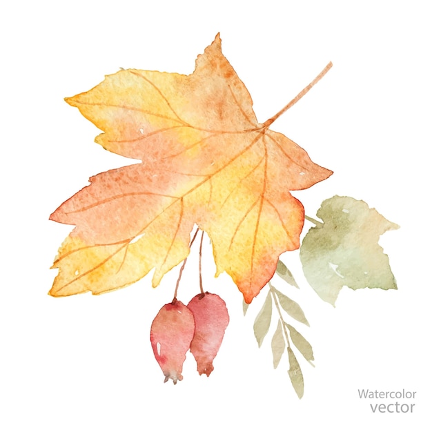 Aquarellvektor-herbststrauß aus blättern, ästen und heckenrosenbeeren isoliert auf weißem hintergrund