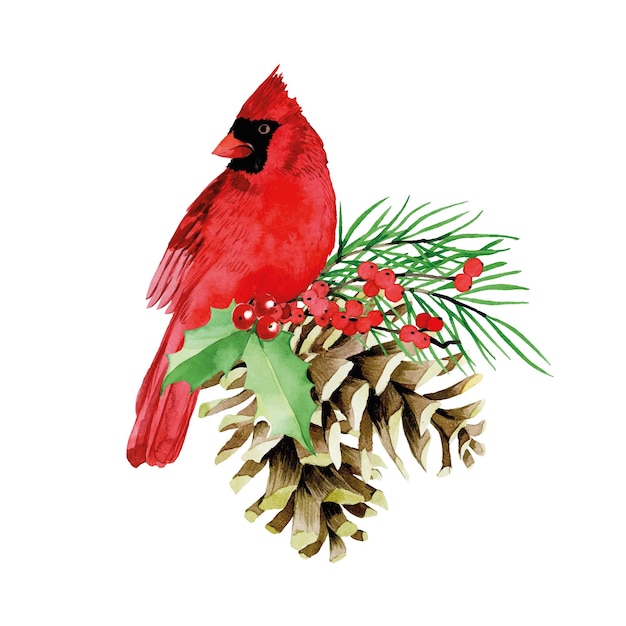 aquarellweihnachtszusammensetzung mit winterroten vogelkardinalblättern und stechpalmenbeerentannenzweig