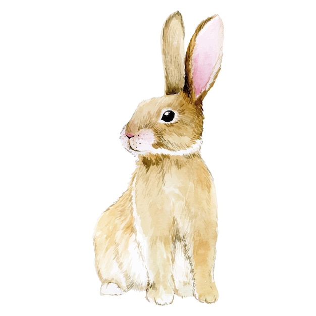 Aquarellzeichnung süßer Hase Osterhase Hase isoliert auf weißem Hintergrund Clipart