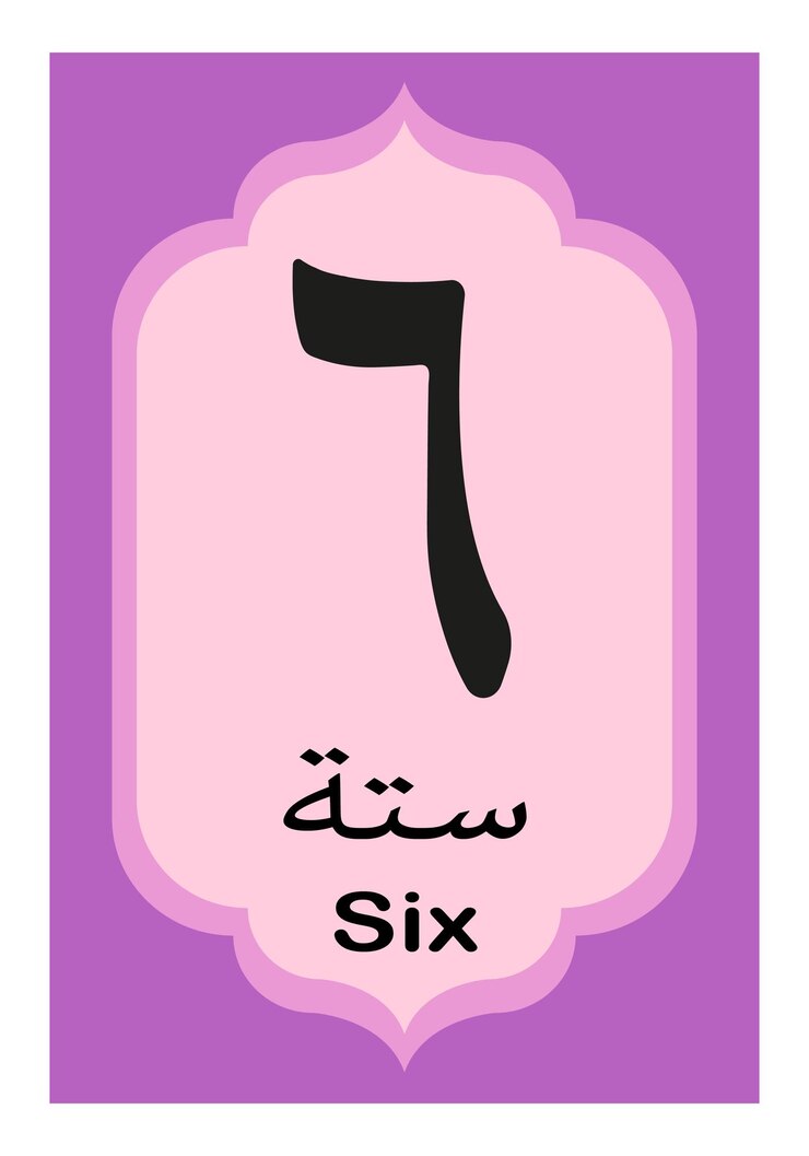 Vektor arabische und islamische nummer 6 flashcard mit arabischer kalligrafie für kinder und kinder