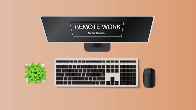 Arbeitsplatz für Fernarbeit. Monitor, Tastatur, Maus, Blume in einem Topf.