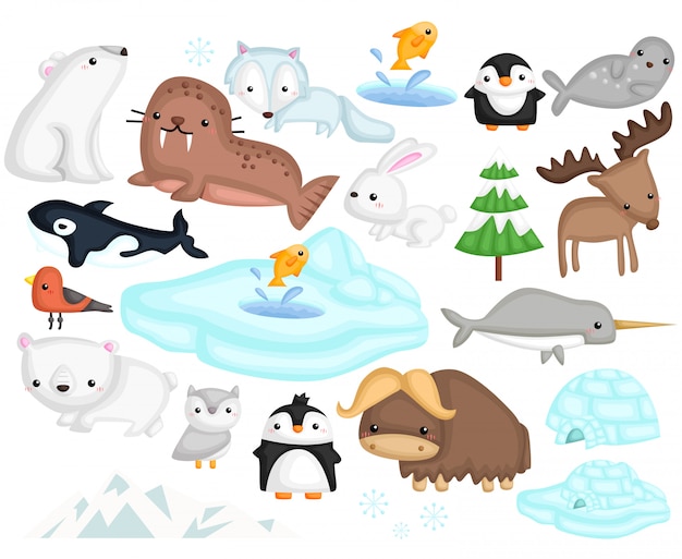 Arktische Tiere