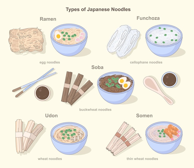 Vektor asiatische nudelsorten stellen traditionelle japanische, unzubereitete speisen und gerichte dar