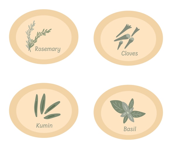 Vektor aufkleber auf flaschen mit gewürzen rosmarin, basilikum, kümmel und nelken