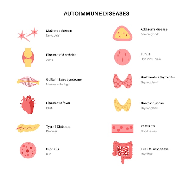 Vektor autoimmunerkrankungen krankheiten