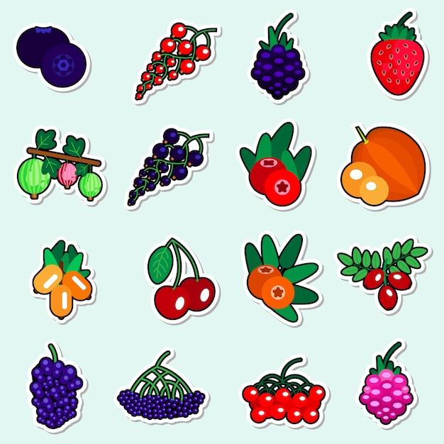 Autumn berries stickers set auf blauer frucht-frucht-ikonen-sammlung