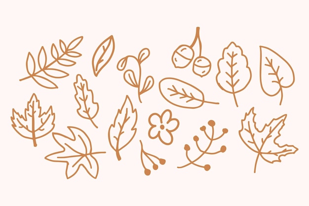 Autumn leaves