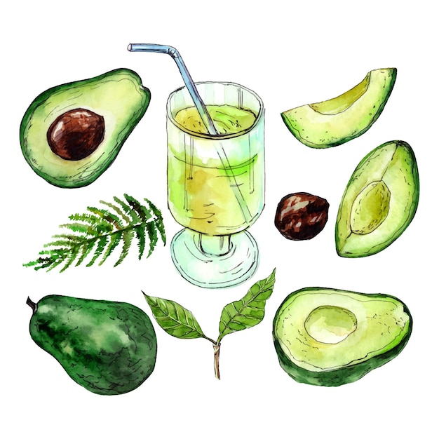 Avocado-aquarell-set