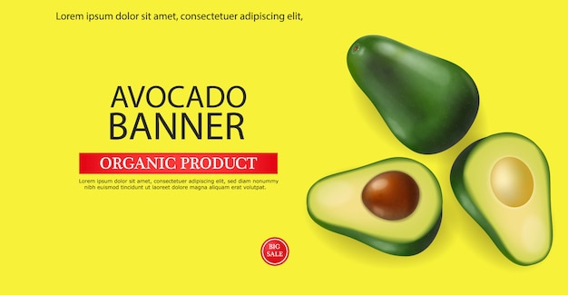 Avocado-banner-vorlage