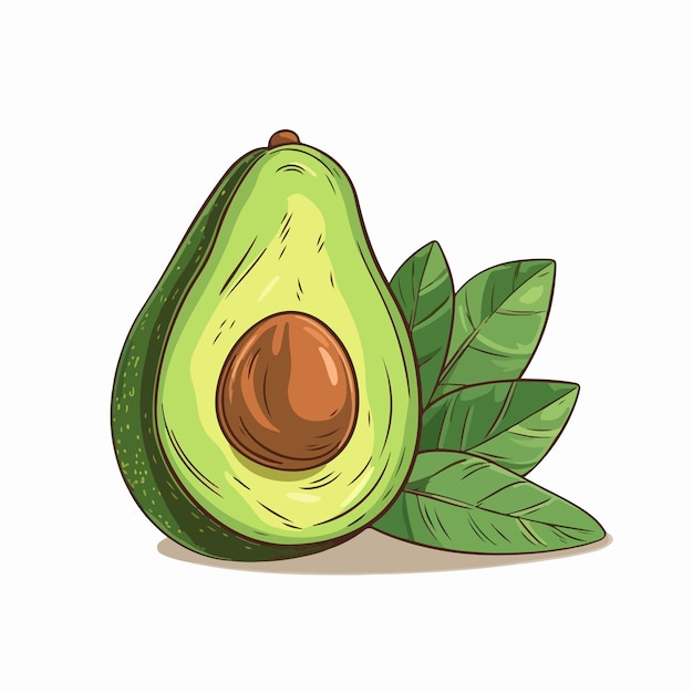 Avocado flache vektorillustration avocado-handzeichnung isolierte vektorillustration