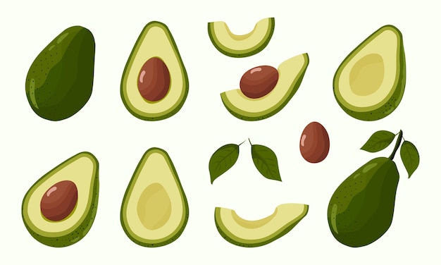 Avocado-Set Leuchtgrüne ganze Frucht halbe Scheibe mit Samen Frucht für eine gesunde Ernährung Vektor-Illustration
