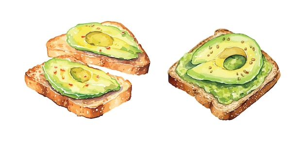 Vektor avocado-toast clipart isolierte vektorillustration