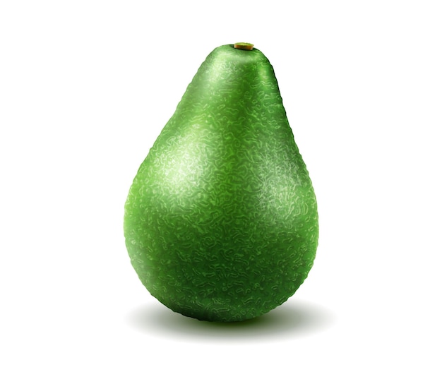 Avocado Vector 3D realistische frische Avocadofrucht ganze Avocado isoliert auf weißem Hintergrund