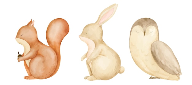 Baby-Waldtiere Handgezeichnete Aquarell-Illustration von Eichhörnchen-Hase und Eule auf isoliertem Hintergrund Zeichnung von Waldfiguren für kindliche Duschgrüßkarten oder Geburtstagseinladungen