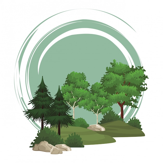 Bäume Naturlandschaft