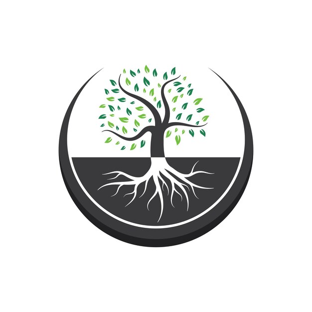 Vektor bäume- und wurzel-logo-vektorillustration