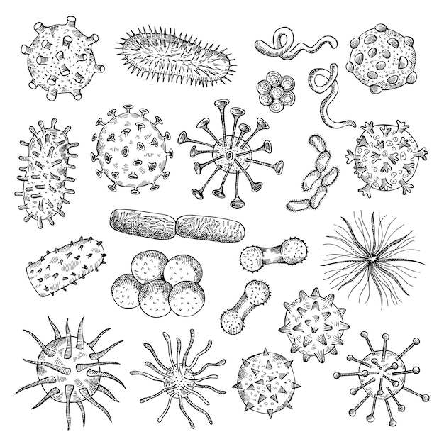 Bakterienskizze zeichnen von viren biologische nahaufnahmen zellen covid art von bakterien medizinisches konzept illustrationen aktuelle vektor-doodle-bilder eingestellt