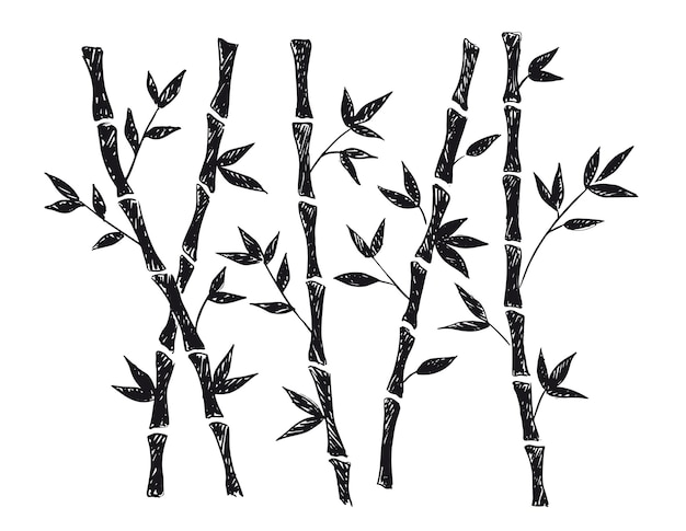 Bambusbaum handgezeichnete stil vektorgrafiken