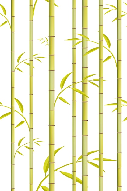 Bambusmuster. grüner baumhintergrund.