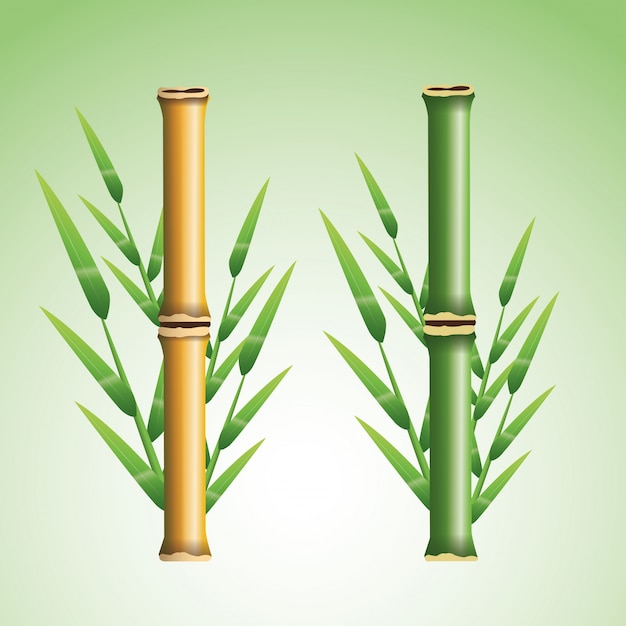Vektor bambusstamm mit blattikone. natur pflanze dekoration