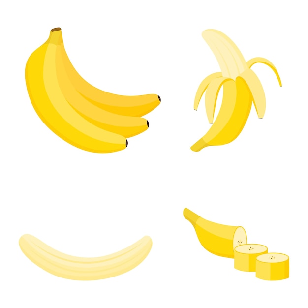 Banane, ganze Frucht, Hälfte und Scheiben, Vektorillustration