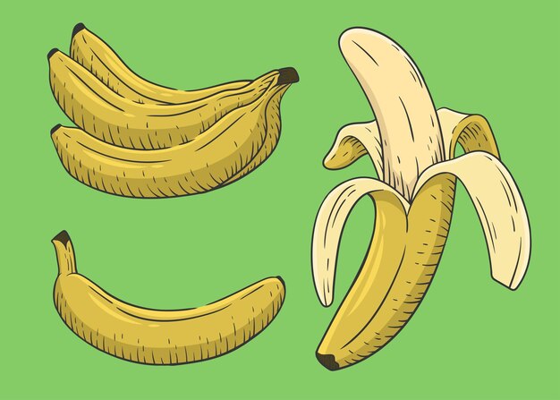 Vektor banane handgezeichneter illustrationsvektor im gravurstil