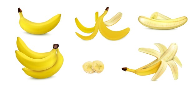 Bananen realistisches set mit isolierten geschälten und ungeschälten früchten mit scheibenvektorillustration