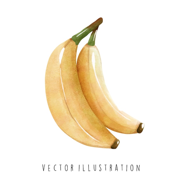 Bananen Vektor