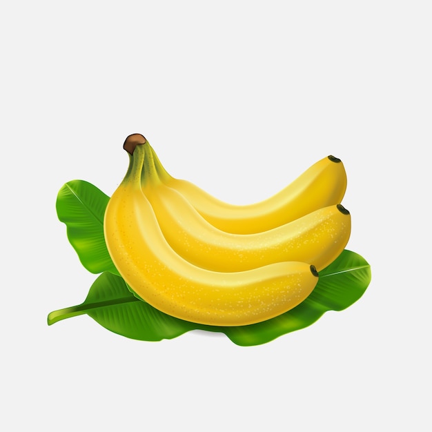 Bananenfrüchte exotische desserts natürliche tropische pflanzen